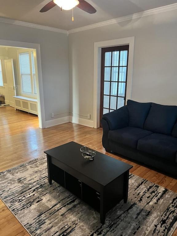 Secret Oasis In The Heart Of Hartford Apartman Kültér fotó
